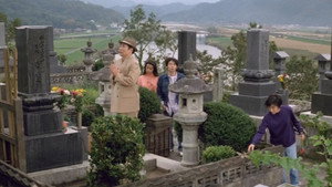 bg-image-low-res