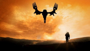 bg-image-low-res