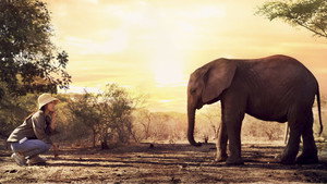 bg-image-low-res