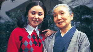 bg-image-low-res