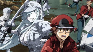 bg-image-low-res