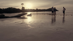 bg-image-low-res