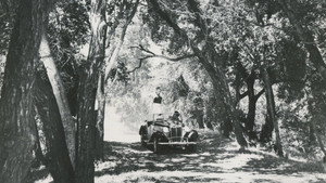 bg-image-low-res