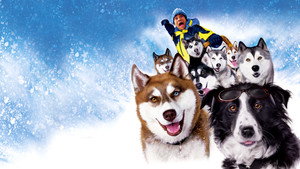 bg-image-low-res