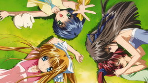 bg-image-low-res