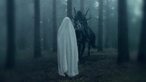 bg-image-low-res