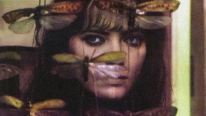bg-image-low-res