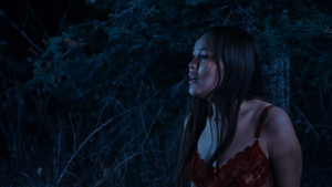 bg-image-low-res