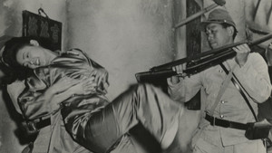 bg-image-low-res