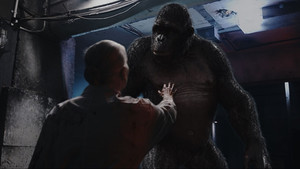 bg-image-low-res