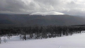 bg-image-low-res
