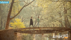bg-image-low-res