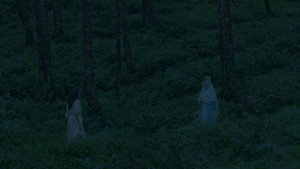 bg-image-low-res