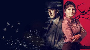 bg-image-low-res