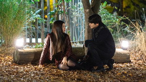 bg-image-low-res
