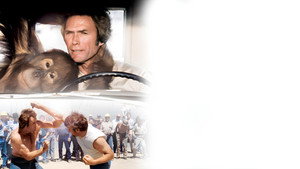 bg-image-low-res