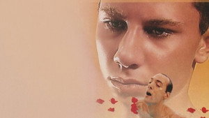 bg-image-low-res