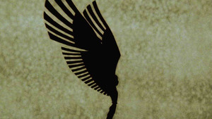 bg-image-low-res