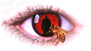 bg-image-low-res