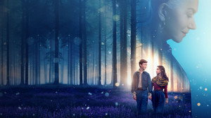 bg-image-low-res