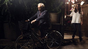 bg-image-low-res