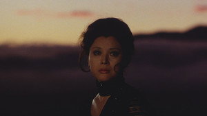 bg-image-low-res