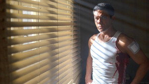 bg-image-low-res