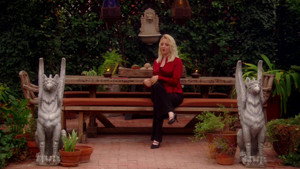 bg-image-low-res