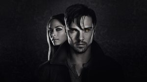 bg-image-low-res