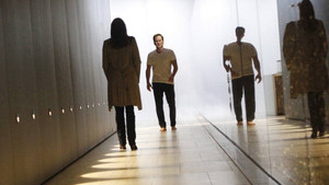 bg-image-low-res