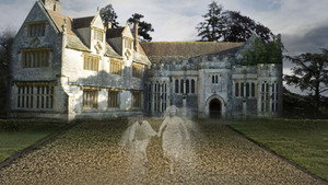 bg-image-low-res