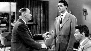 bg-image-low-res