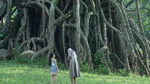 bg-image-low-res