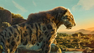 bg-image-low-res