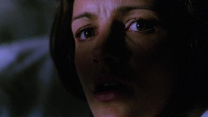 bg-image-low-res