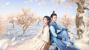 bg-image-low-res