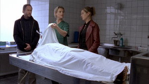 bg-image-low-res