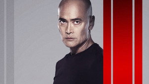 bg-image-low-res