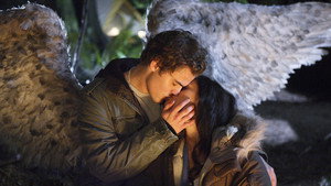bg-image-low-res