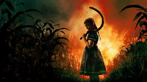 bg-image-low-res