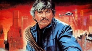 bg-image-low-res