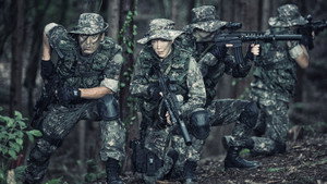 bg-image-low-res