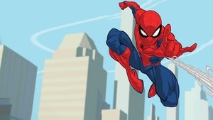 bg-image-low-res