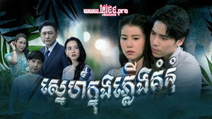 bg-image-low-res
