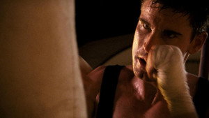 bg-image-low-res