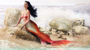 bg-image-low-res