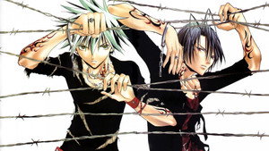 bg-image-low-res