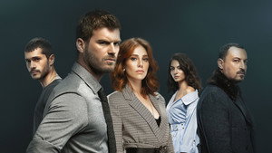 bg-image-low-res