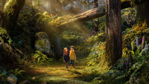 bg-image-low-res