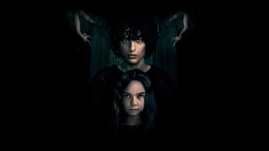 bg-image-low-res